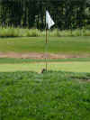 gophergolf.jpg (180546 bytes)