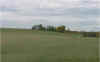 7tee.jpg (13896 bytes)
