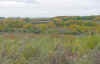 dpvalley.jpg (27984 bytes)
